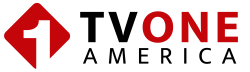 2025-05 TV1 AMERICA Logo 1